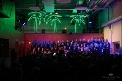 | [© (c) Martin Zitzlaff, Hamburg, www.zitzlaff.com, MwSt. 7%, Veroeffentlichung nur gegen Honorar (MFM) und Belegexemplar, mit Namensnennung] [#0,26,121#]