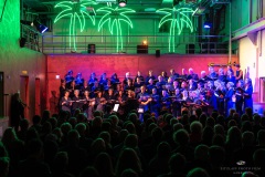 | [© (c) Martin Zitzlaff, Hamburg, www.zitzlaff.com, MwSt. 7%, Veroeffentlichung nur gegen Honorar (MFM) und Belegexemplar, mit Namensnennung] [#0,26,121#]