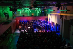 | [© (c) Martin Zitzlaff, Hamburg, www.zitzlaff.com, MwSt. 7%, Veroeffentlichung nur gegen Honorar (MFM) und Belegexemplar, mit Namensnennung] [#0,26,121#]