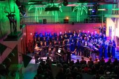 | [© (c) Martin Zitzlaff, Hamburg, www.zitzlaff.com, MwSt. 7%, Veroeffentlichung nur gegen Honorar (MFM) und Belegexemplar, mit Namensnennung] [#0,26,121#]