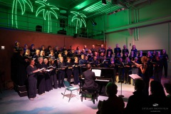 | [© (c) Martin Zitzlaff, Hamburg, www.zitzlaff.com, MwSt. 7%, Veroeffentlichung nur gegen Honorar (MFM) und Belegexemplar, mit Namensnennung] [#0,26,121#]