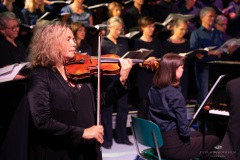 | [© (c) Martin Zitzlaff, Hamburg, www.zitzlaff.com, MwSt. 7%, Veroeffentlichung nur gegen Honorar (MFM) und Belegexemplar, mit Namensnennung] [#0,26,121#]