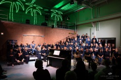 | [© (c) Martin Zitzlaff, Hamburg, www.zitzlaff.com, MwSt. 7%, Veroeffentlichung nur gegen Honorar (MFM) und Belegexemplar, mit Namensnennung] [#0,26,121#]